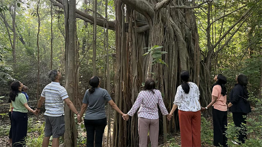 Tree hug